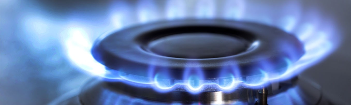 PROAGAS PROAGAS Tu Compa a De Gas